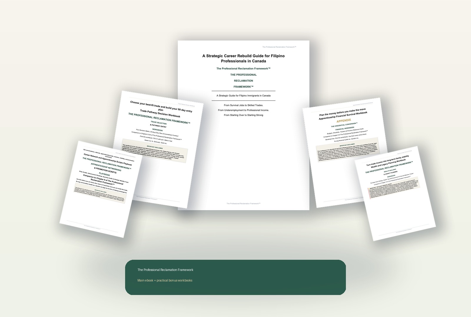 The complete Professional Reclamation Framework six-guide package